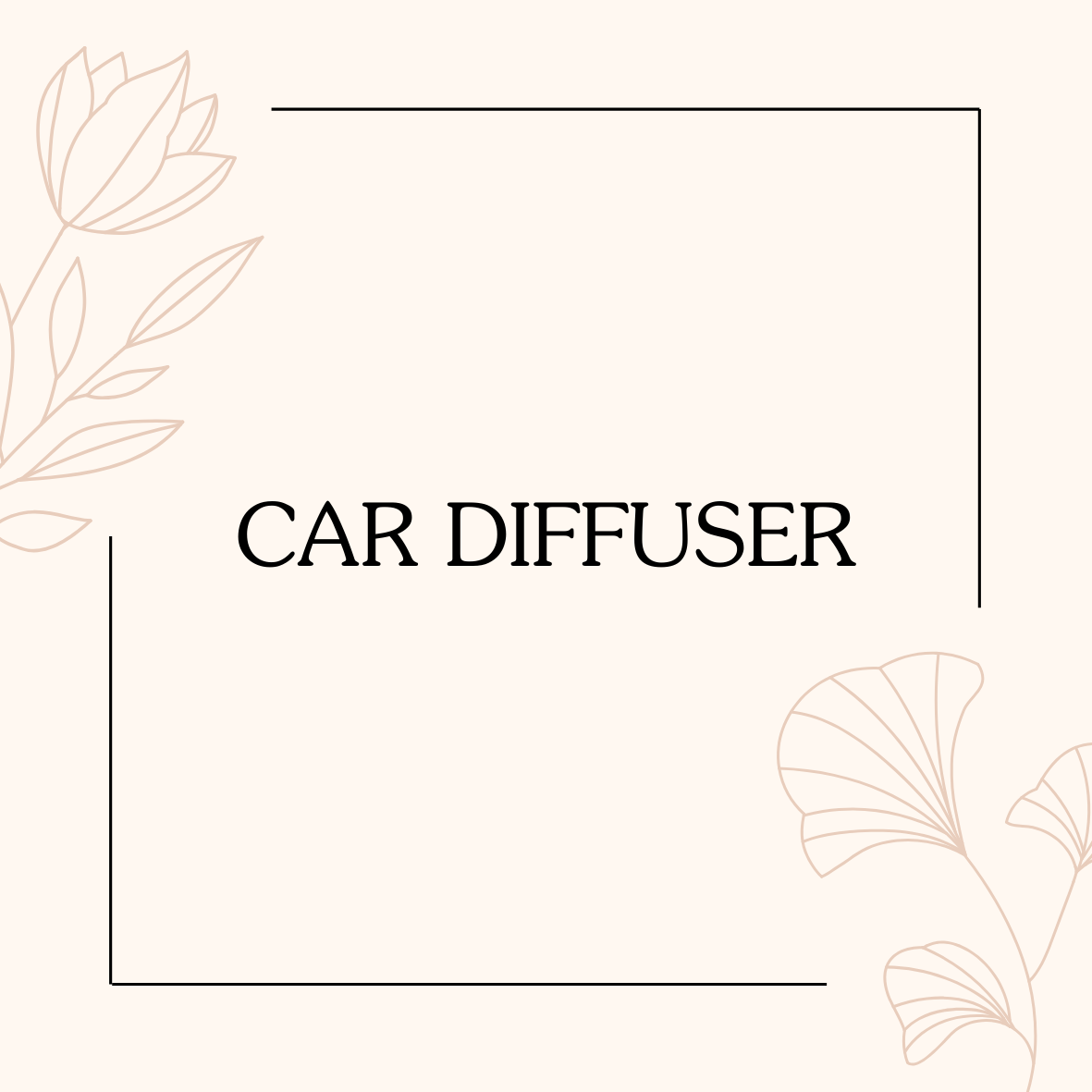 Car Diffuser