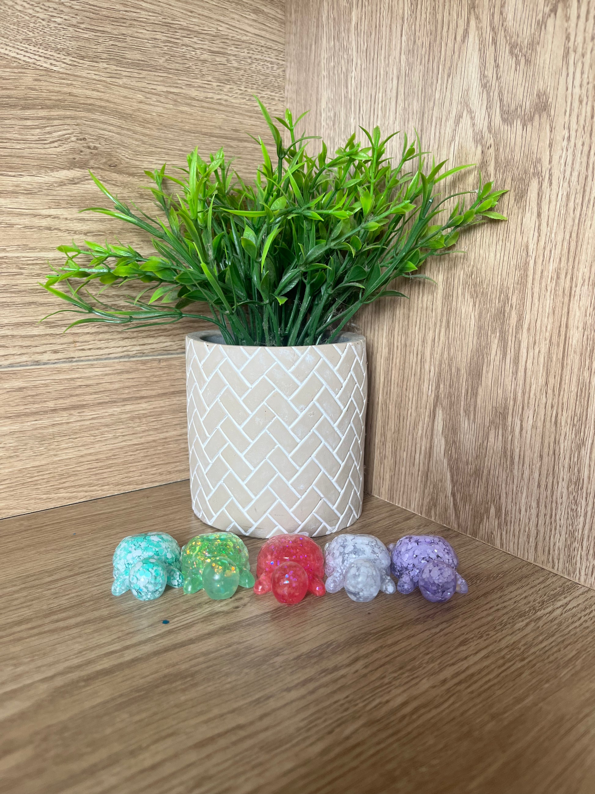 Customised Turtle bonnie.arch.co